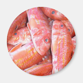 Fish Magnet