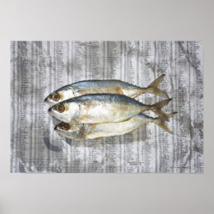 Fish on financial newspaper, elevated view poster