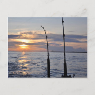 Fish On! Postcard