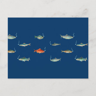 Fish Pattern Postcard