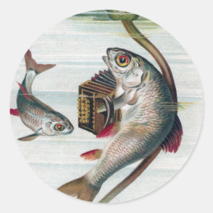 Fish Playing Accordion and Water Lily Classic Round Sticker