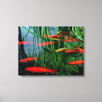 Fish Pond