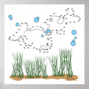 Fish Pond Connect The Dots Poster