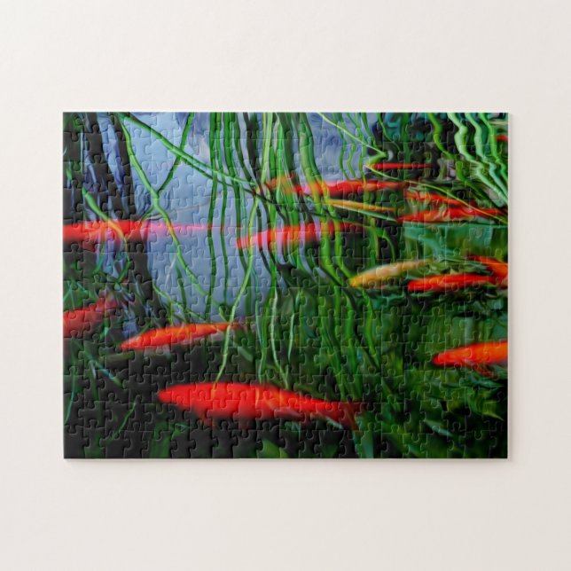 Fish Pond Jigsaw Puzzle (Horizontal)