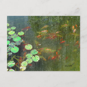 Fish Pond Postcard