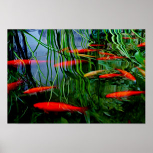 Fish Pond Poster
