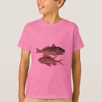 Fish Red Perch Fisherman Art