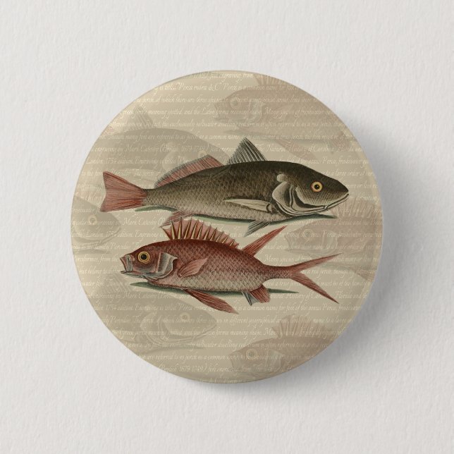 fish red perch Vintage fisherman gift 6 Cm Round Badge (Front)