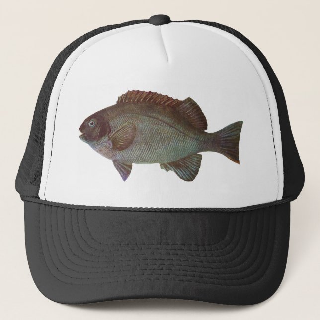 Fish - Rock Blackfish - Girella elevata Trucker Hat (Front)