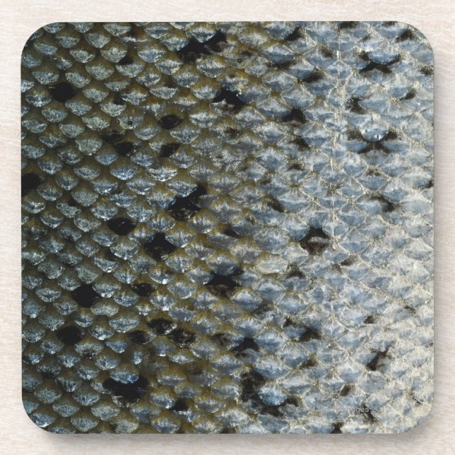 Fish Scales 2 Coaster (Front)