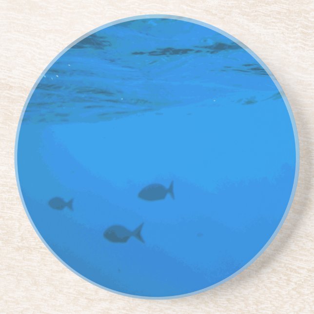 fish Series---Fish under the surgace coaster (Front)