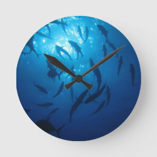 Fish Shoal and Sunlight Under the Sea Round Clock