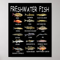 Fish Species Biology Types Of Freshwater Fish Fish