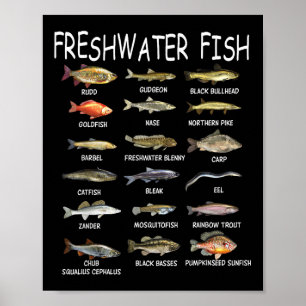 Fish Species Biology Types Of Freshwater Fish Fish Poster