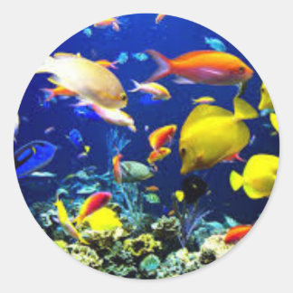 Fish sticker