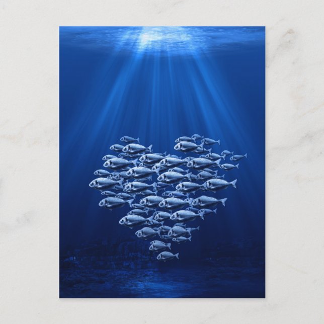 fish swarm under water heart postcard (Front)