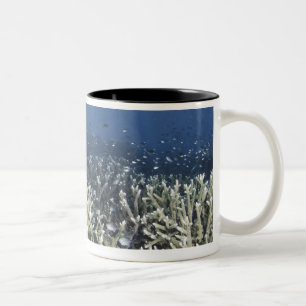 Fish swimming over dead reef Two-Tone coffee mug