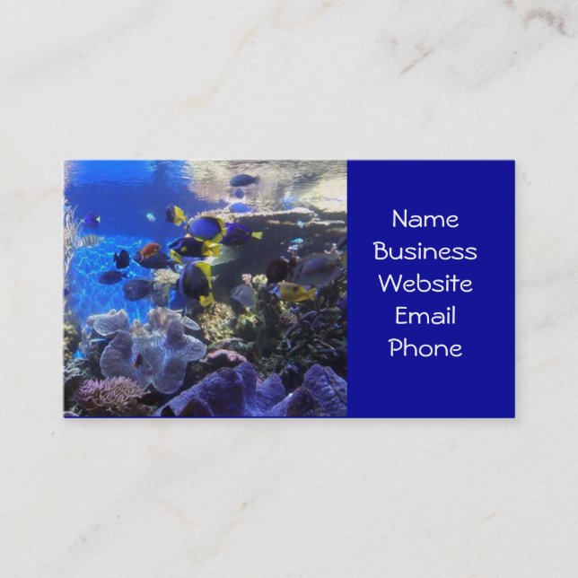Fish tank 2 business cards (Front)