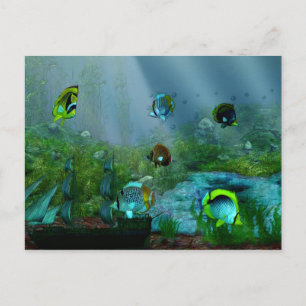 Fish Tank Aquraium Art Postcard