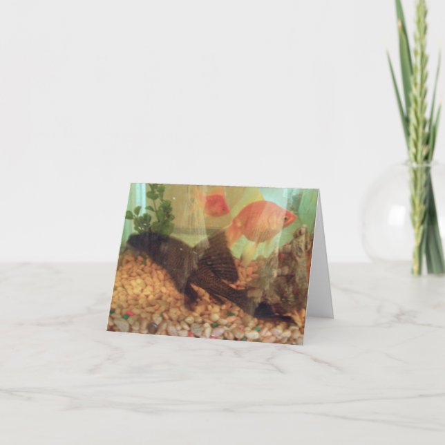 Fish Tank Note Card (Front)