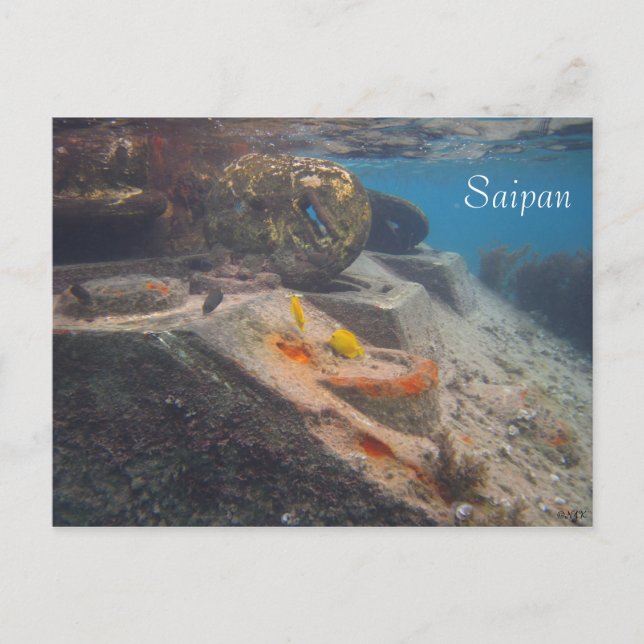 Fish Tank, Saipan Postcard (Front)