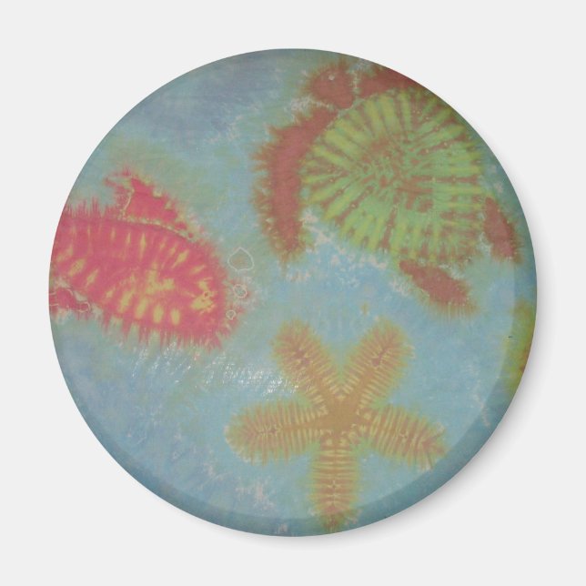 Fish Turtle Starfish Tie Dye Magnet (Front)