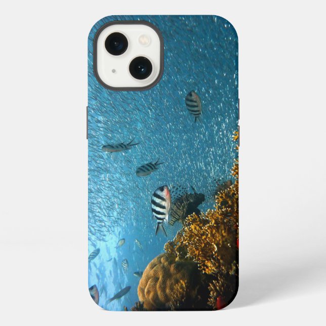 Fish, Underwater, Corals iPhone Case (Back)