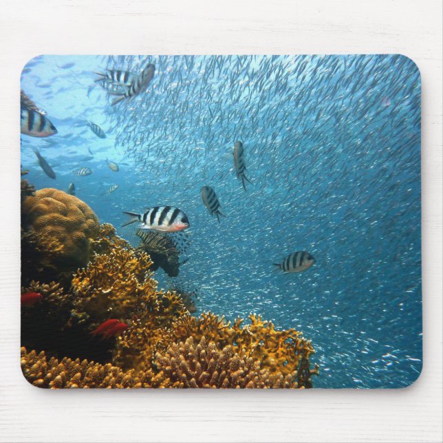 Fish, Underwater, Corals Mouse Pad (Front)