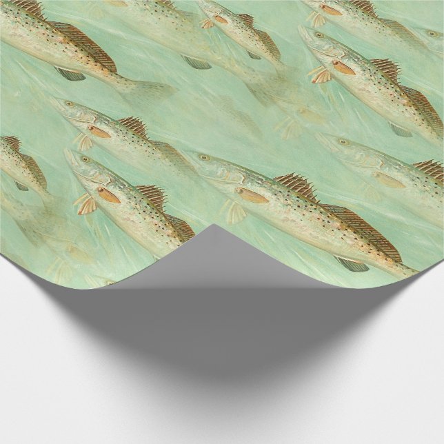 Fish vintage colour illustration pattern wrapping paper (Corner)