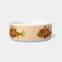 fish wrap cat food bowl