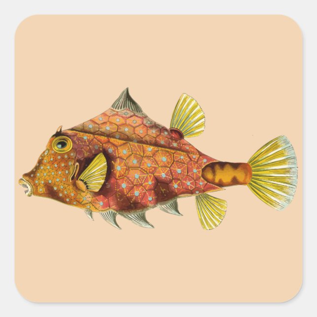 fish wrap customise me stickers (Front)