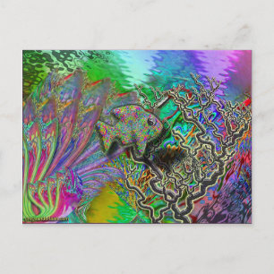 fish-yinyang postcard
