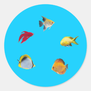 Fishbowl Classic Round Sticker