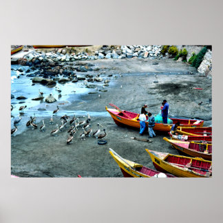 Fishermen and pelicans, Valparaiso, Chile Poster