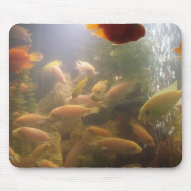 Fishes in a fish Tank Mousepad (Front)