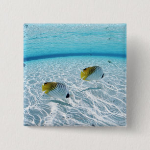 Fishes in the sea 2 15 cm square badge