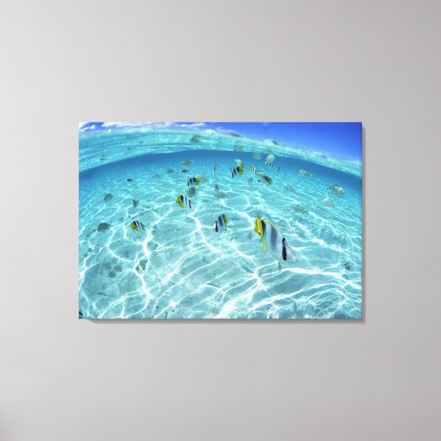 Fishes in the sea 2 canvas print (Front)
