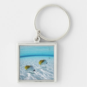 Fishes in the sea 2 key ring