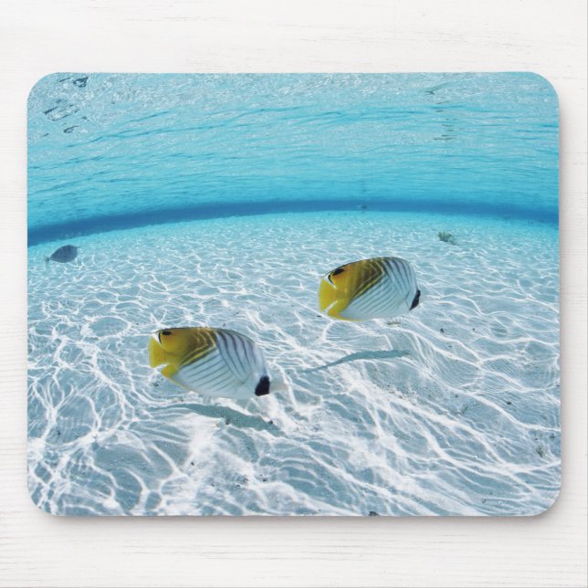 Fishes in the sea 2 mouse pad (Front)