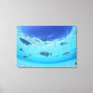 Fishes in the sea 3 canvas print