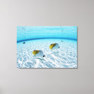 Fishes in the sea canvas print