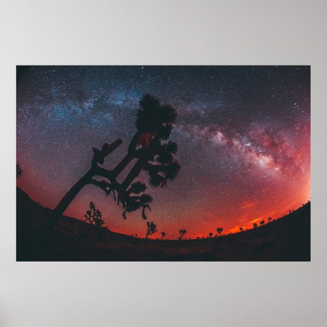 FISHEYE PHOTOGRAPHY OF SILHOUETTE TREE POSTER (Front)