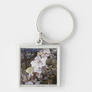 Fisheye view of Butterfly on flower Key Ring
