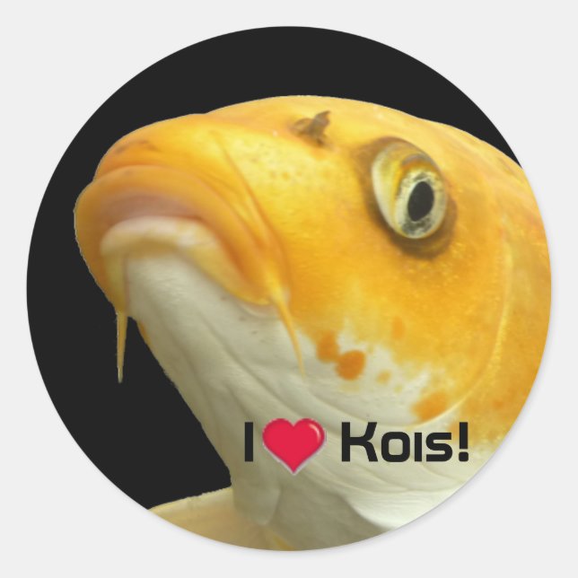 Fishies - Koi no.5 - I love Kois! Sticker (Front)