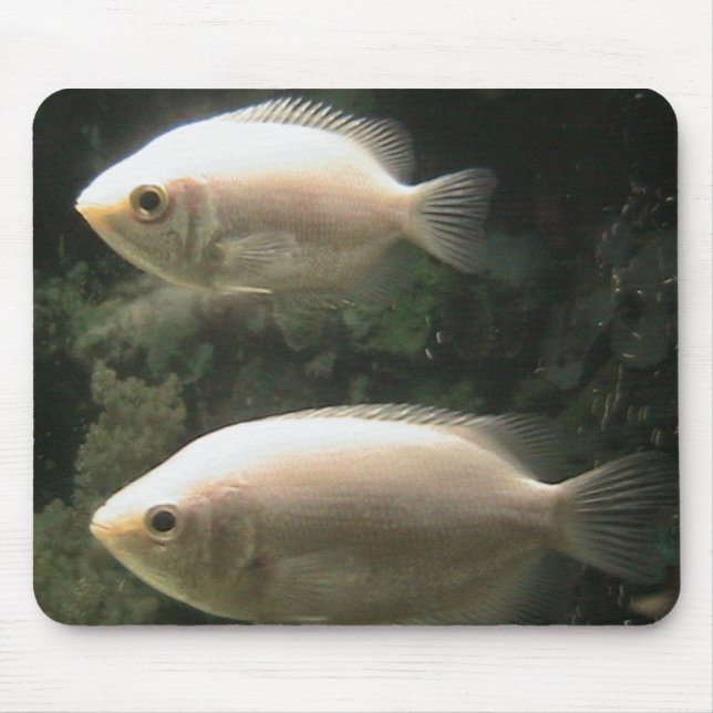 Fishies mousepad (Front)