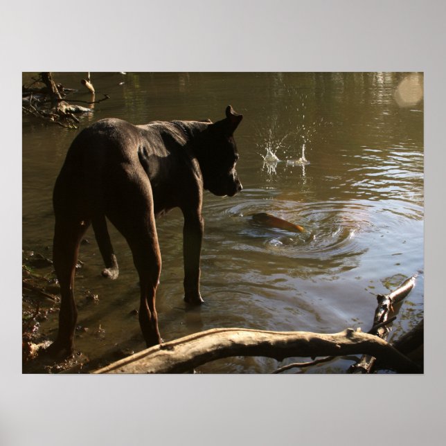 Fishin' Pit Bull Poster (Front)