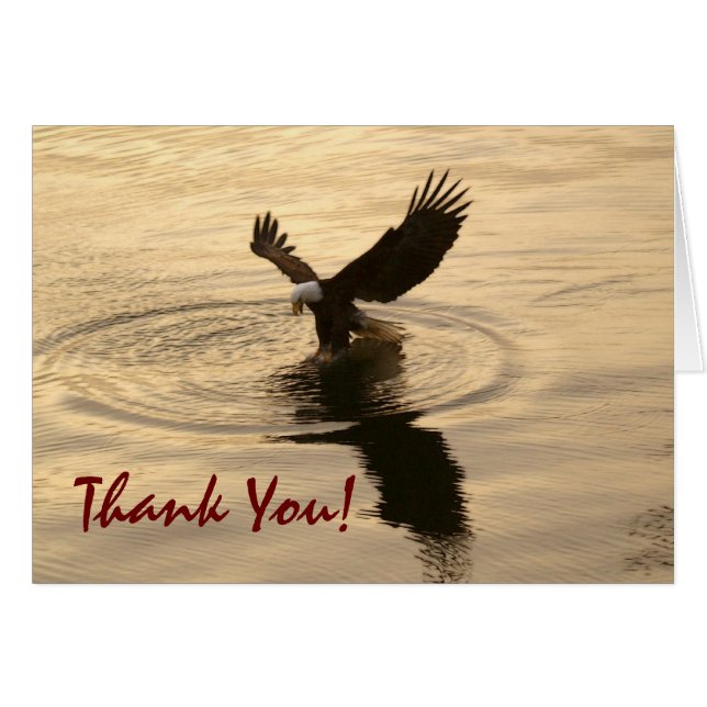 Fishing Bald Eagle at Twilight Thank You Card (Front Horizontal)
