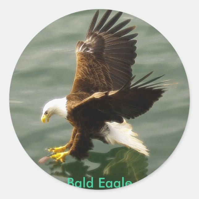 Fishing Bald Eagle Motivational Sticker Gift (Front)