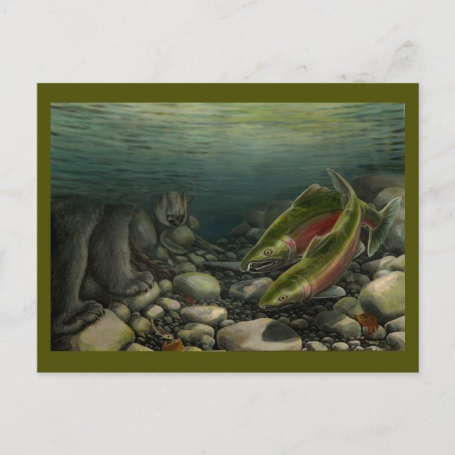 Fishing Bear Postcard Custom Salmon Fish Postcards (Front)
