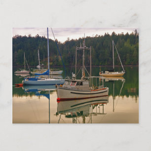 Fishing Boats and Sailboats Postcards
